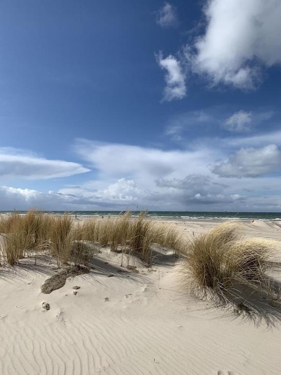 Villa Seeblick Warnemuende - Fewo Mit Meerblick Und Balkon Direkt Am Strand Fuer 2-4 Pers ロストック エクステリア 写真